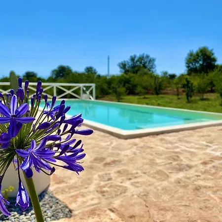Luxury Trulli Whit Private Pool Alberobello
